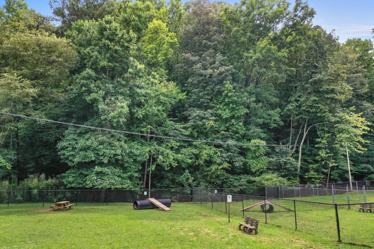 2 Separate Cabins Along A Peaceful Creek With Resort Amenities Ellijay Dış mekan fotoğraf
